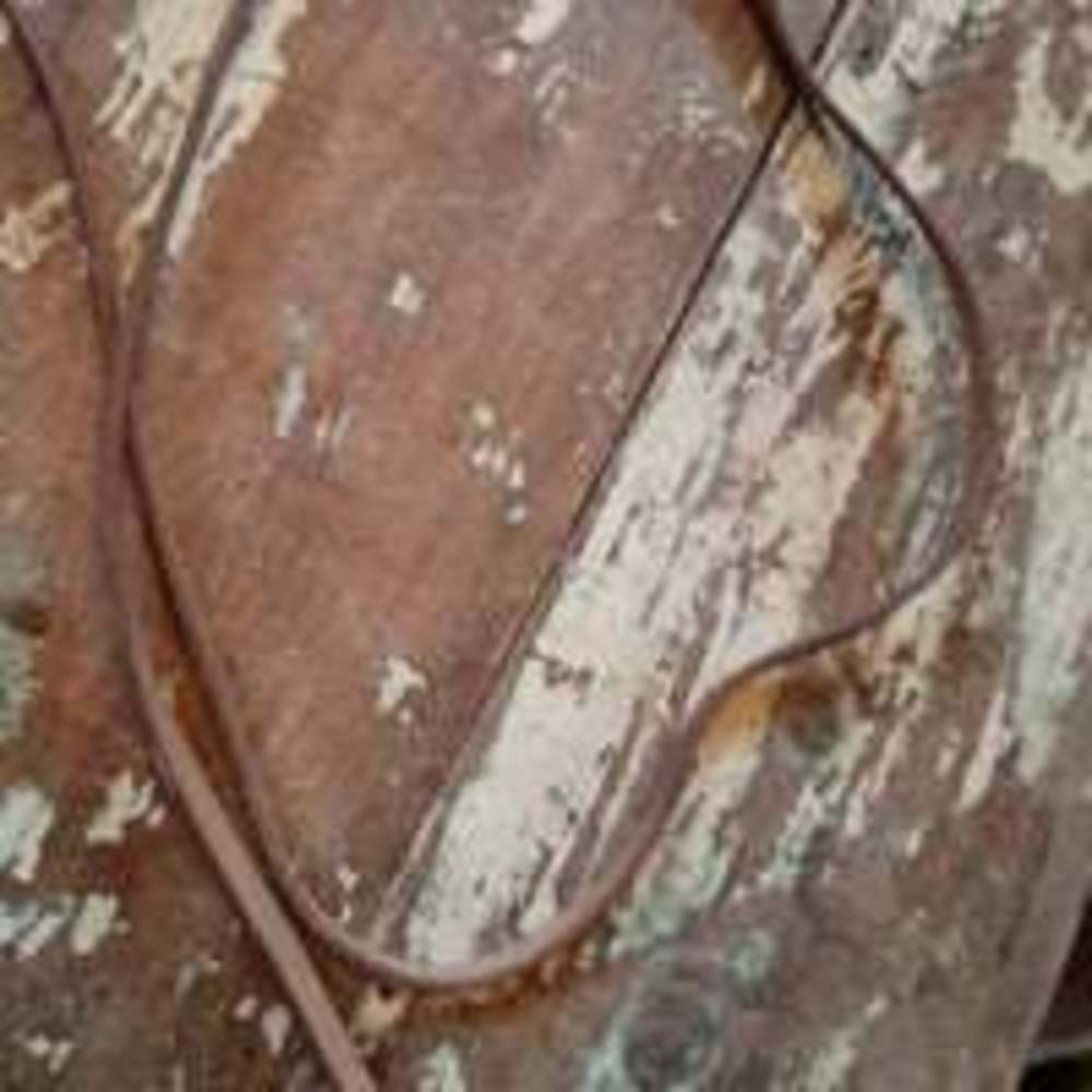 Vintage leather horse tack